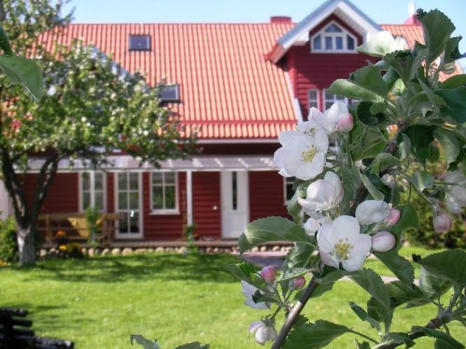 Apartamentai Obelyne Palanga Eksteriør bilde