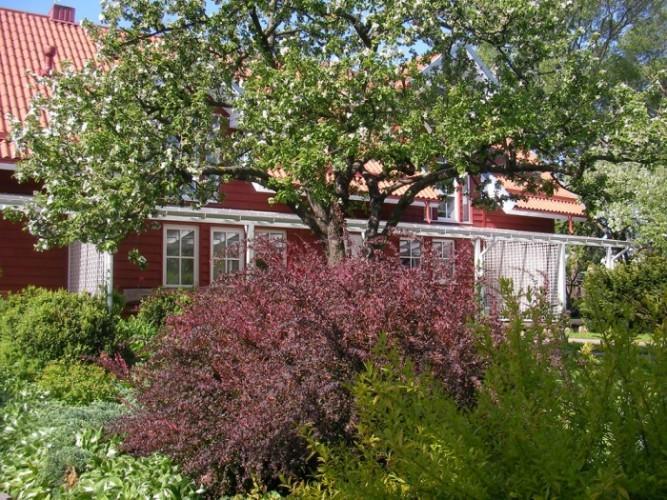 Apartamentai Obelyne Palanga Eksteriør bilde